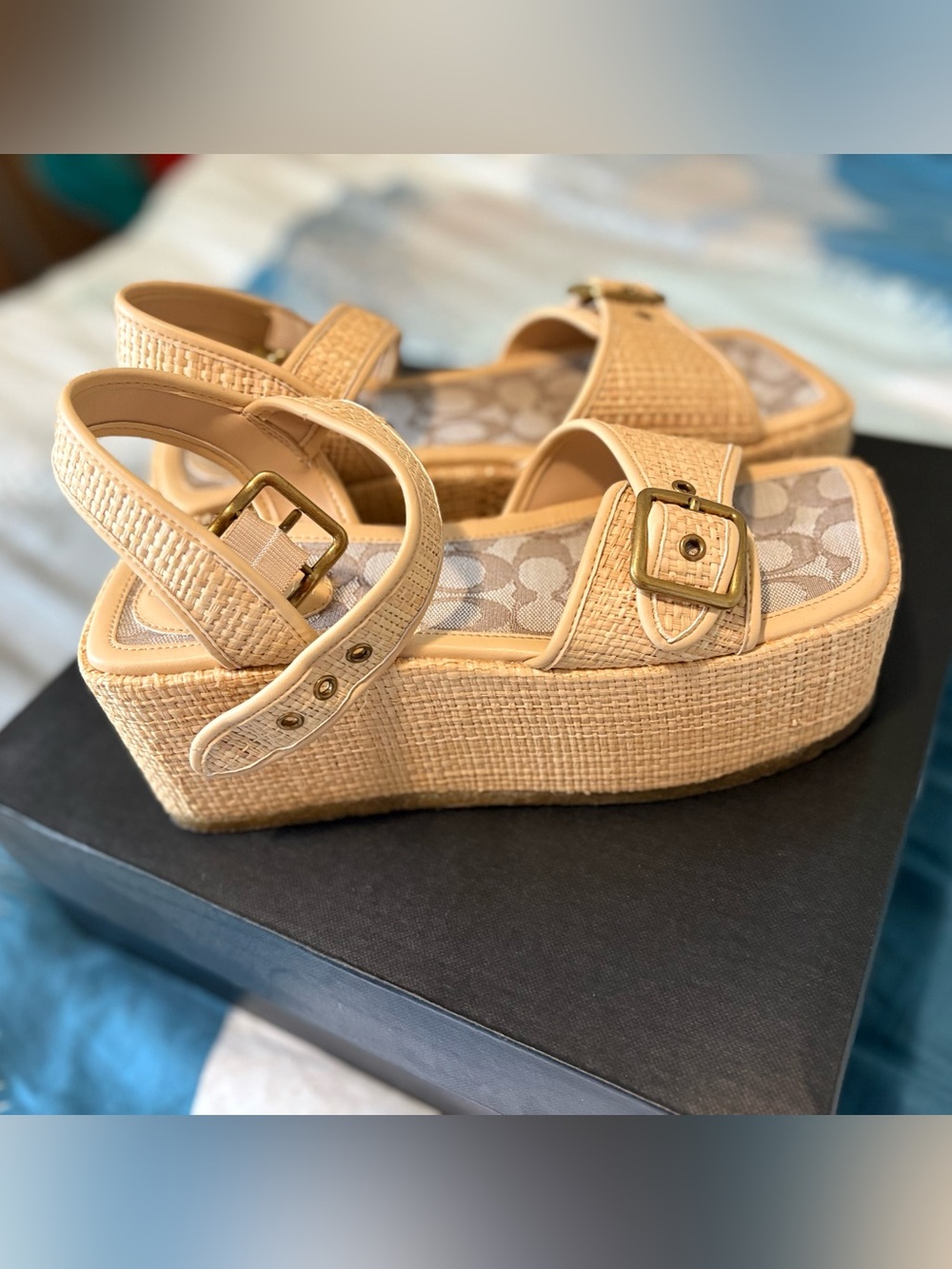 Coach Naomi Raffia Flatform Sandals — Natural